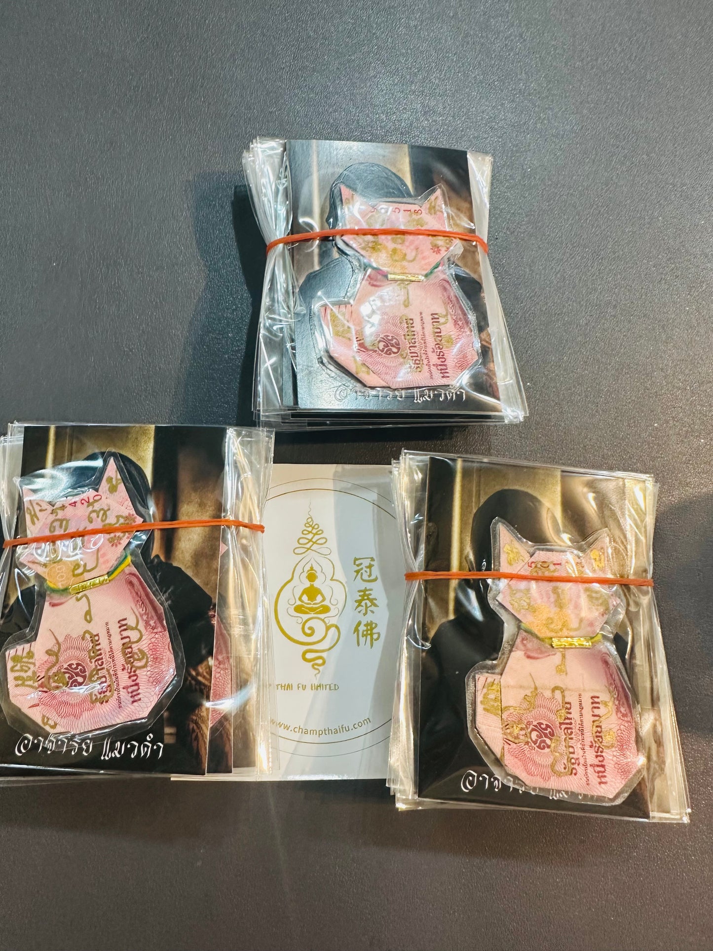 🐾✨ 黑貓新錢母 阿贊班迪 💎