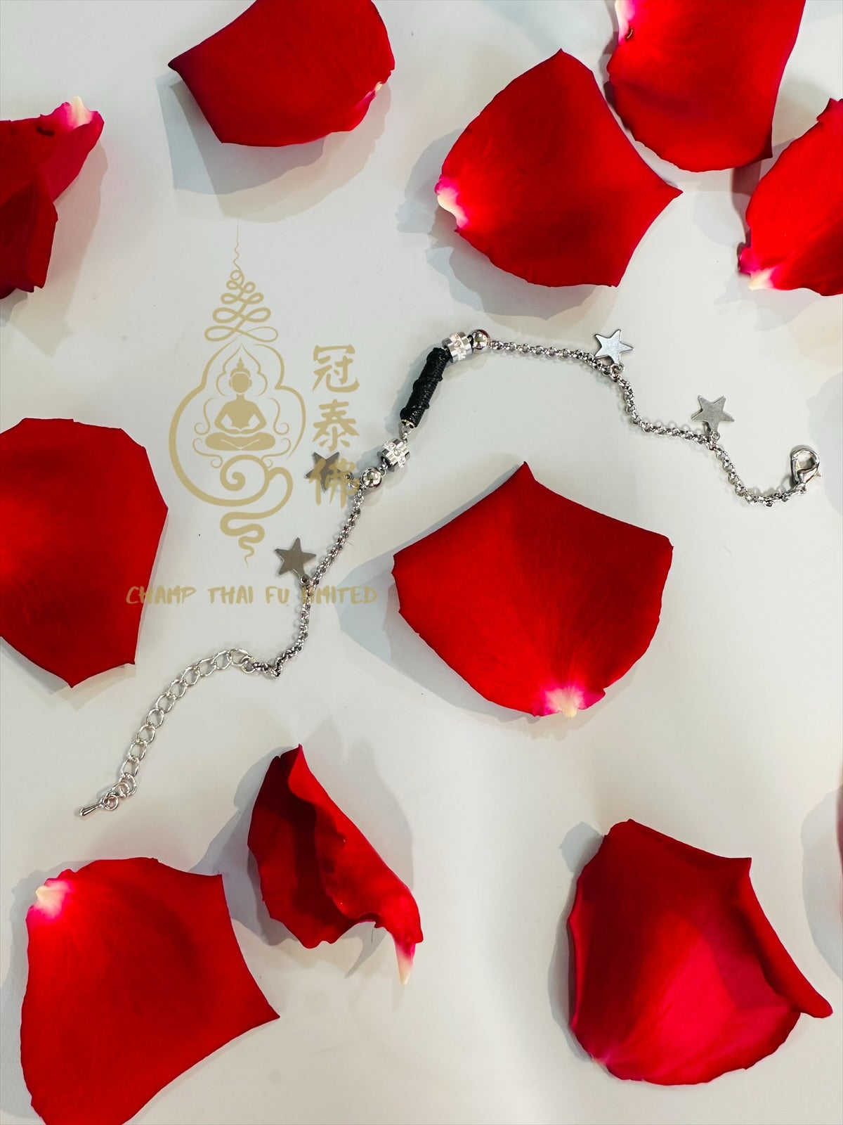 ‼️魅惑誘情‼️捨獻財愛‼️魯士龍琊/蓮崖 情慾腳鏈