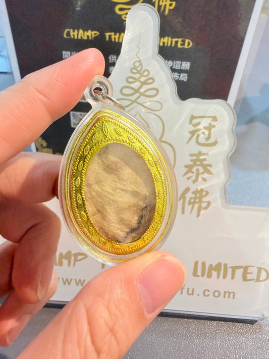 阿贊普奔瑪 大象的胎盤