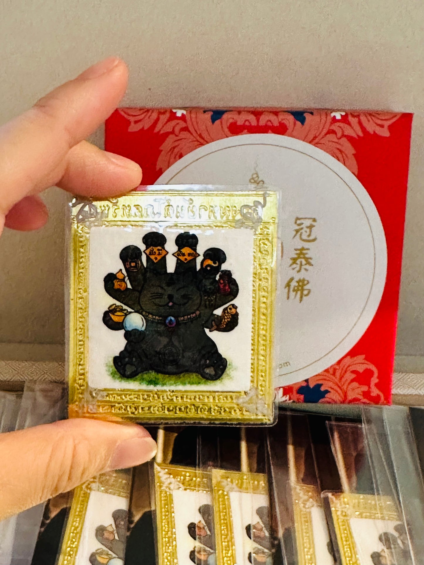 🐾 【十手偷運黑貓·全能符片】阿贊班迪