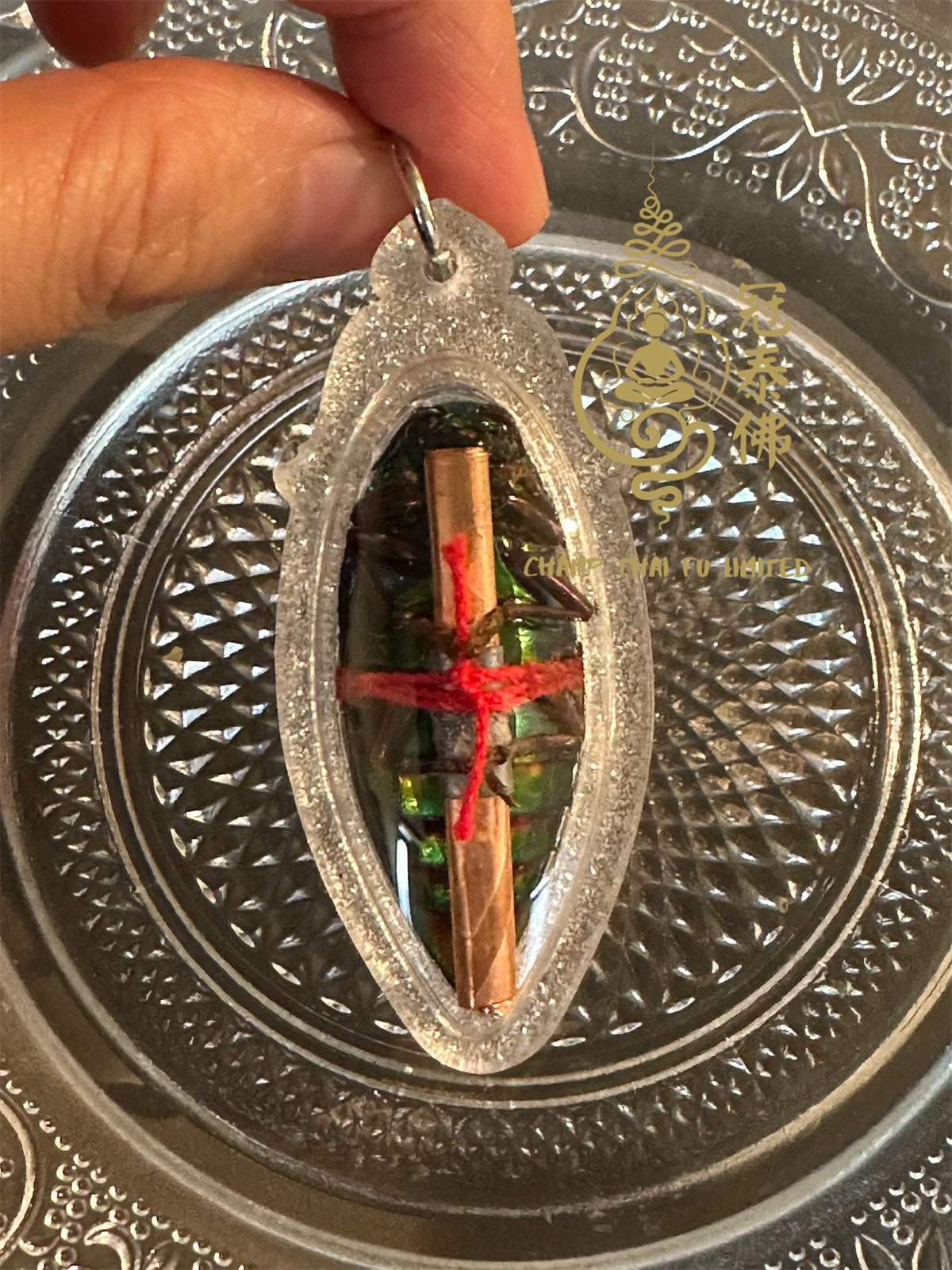 Ajarn Thee's Insect Phra Baby (Buddhist Era 2566)