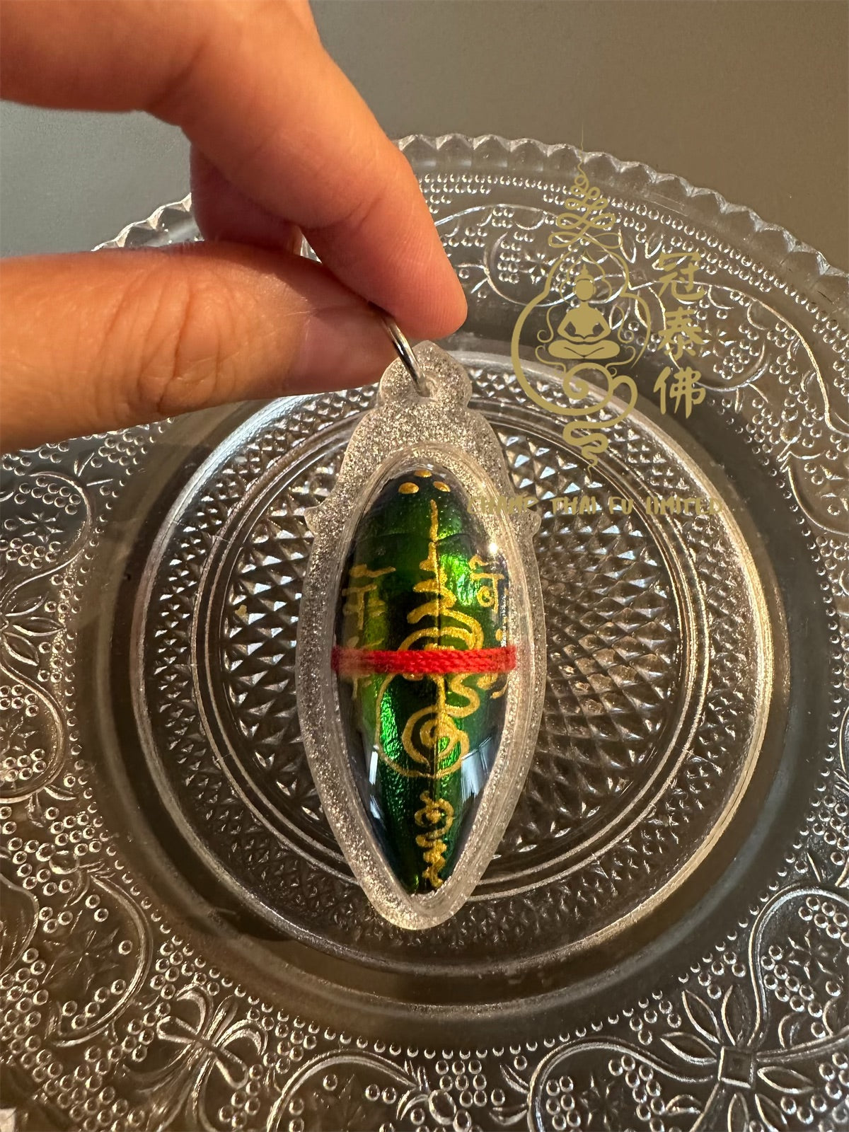 Ajarn Thee's Insect Phra Baby (Buddhist Era 2566)